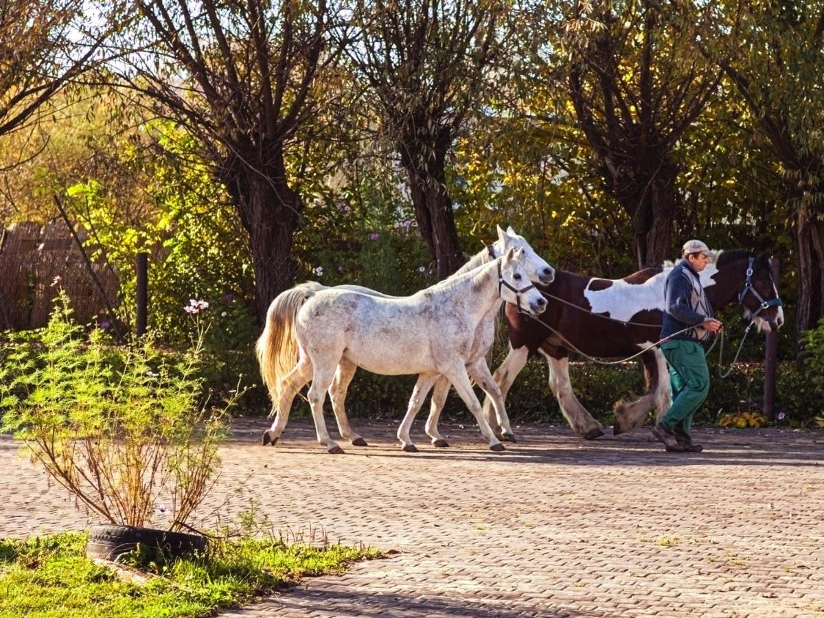 Wierzbowe Ranczo - Blisko Suntago Villa Budy Michalowskie Bagian luar foto